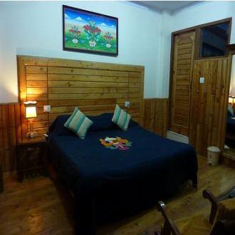 TG Stays Jogiwara Road, Manali 4